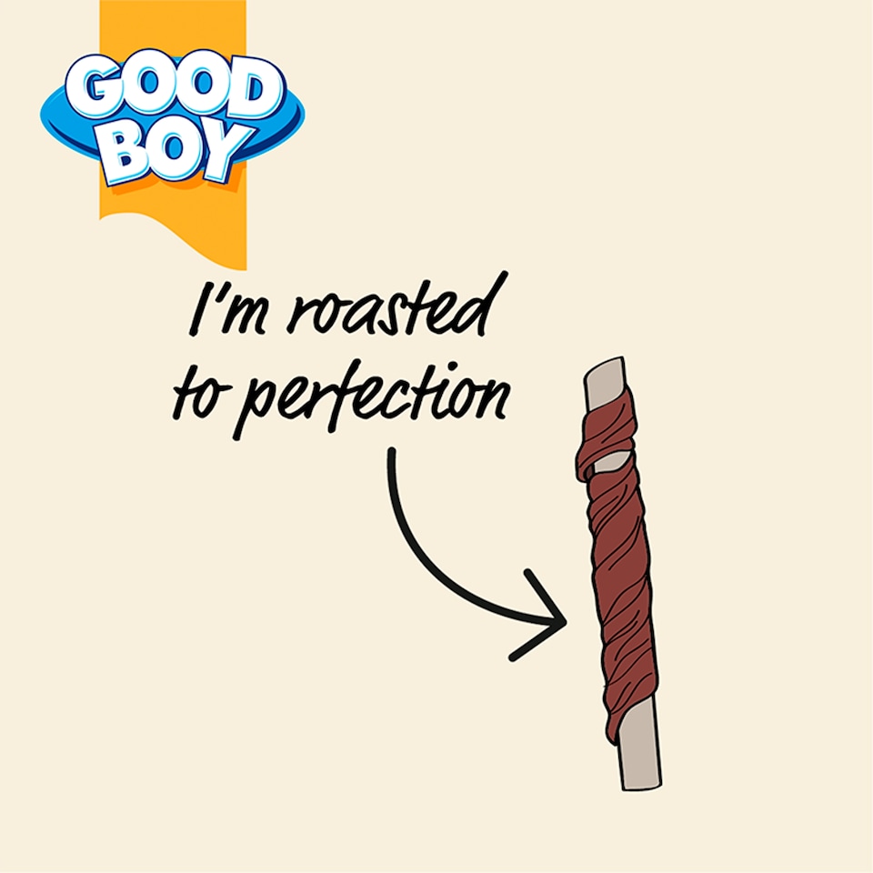image 1 of Good Boy Wagtastic Chewy Duck Twists 70g