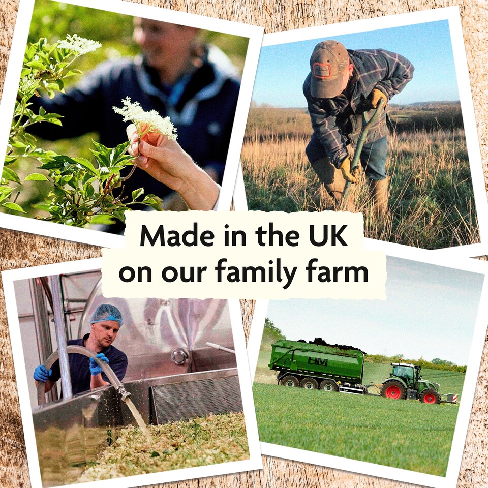 image 1 of Belvoir Ginger Beer 750Ml