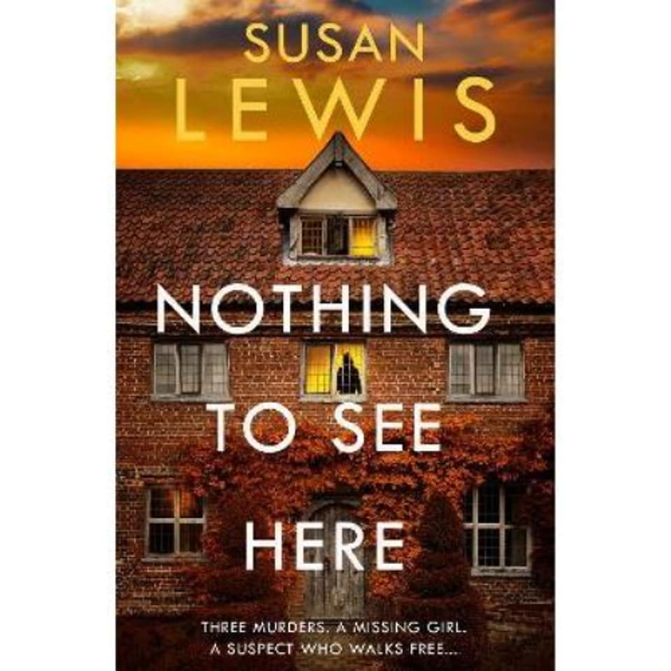 Nothing to See Here Susan Lewis