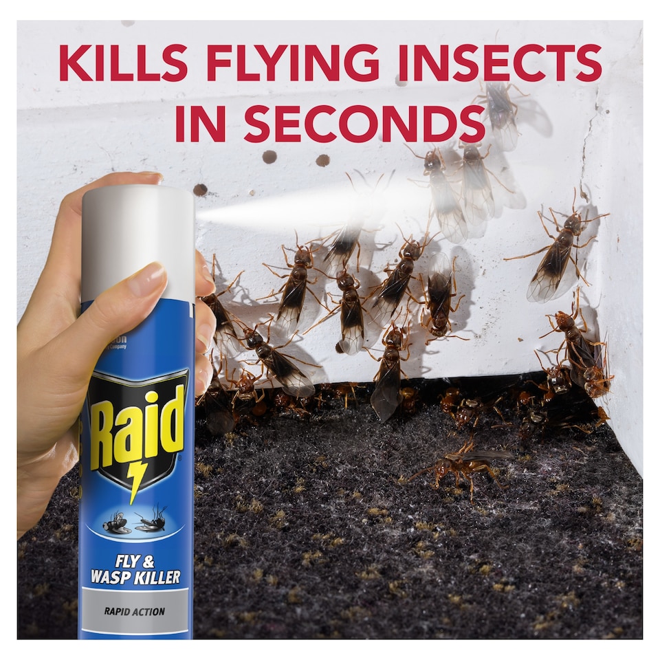 image 1 of Raid Rapid Action Fly & Wasp Killer 300ml