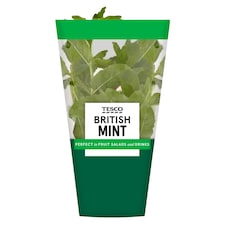 Tesco Growing Mint Medium Pot