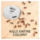 image 2 of Raid Ant Bait