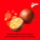 image 2 of Maltesers Milk Chocolate Pouch Bag 93g