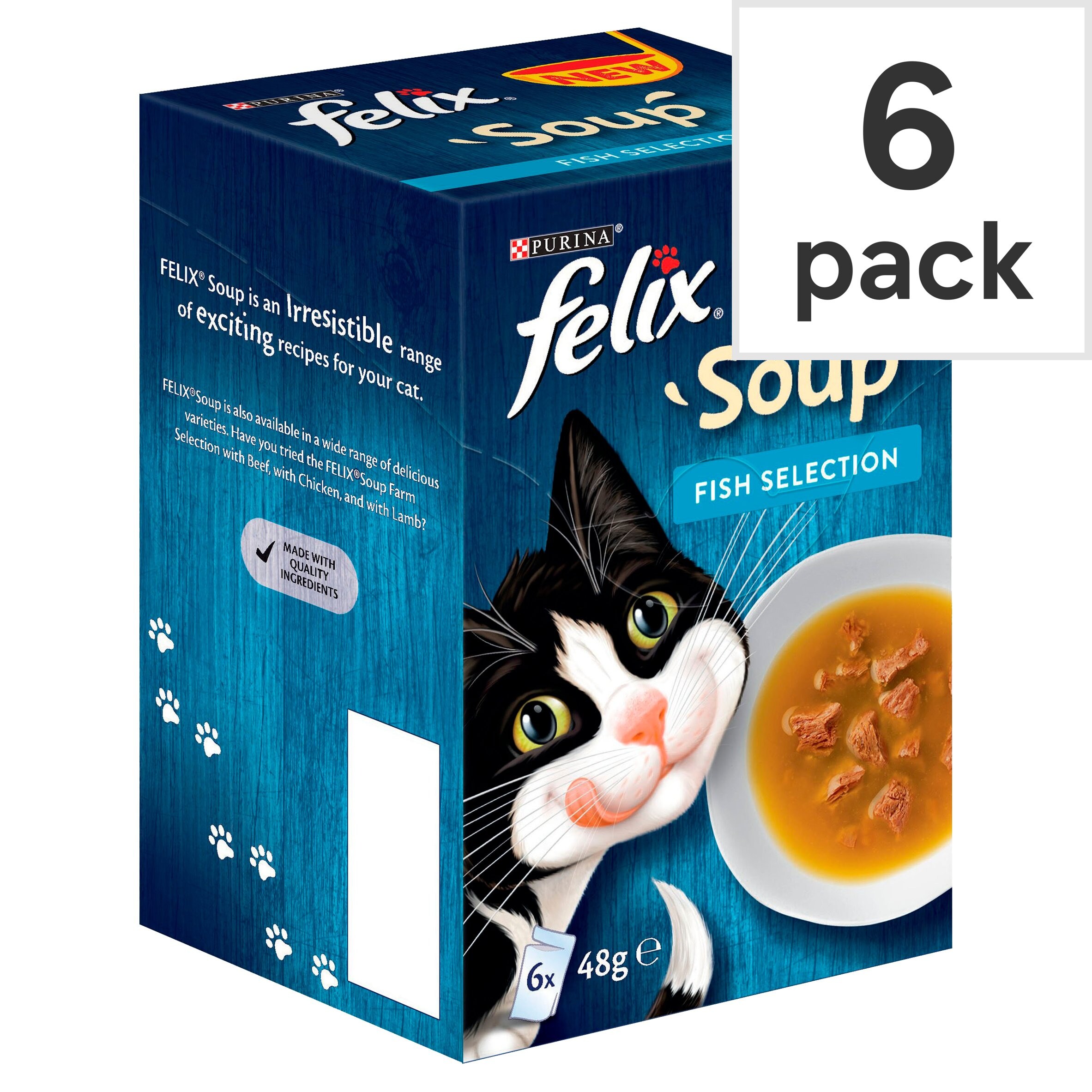 soup for cats