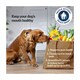image 2 of Pedigree Dentastix Fresh Large Dog Treats 4 Dental Sticks