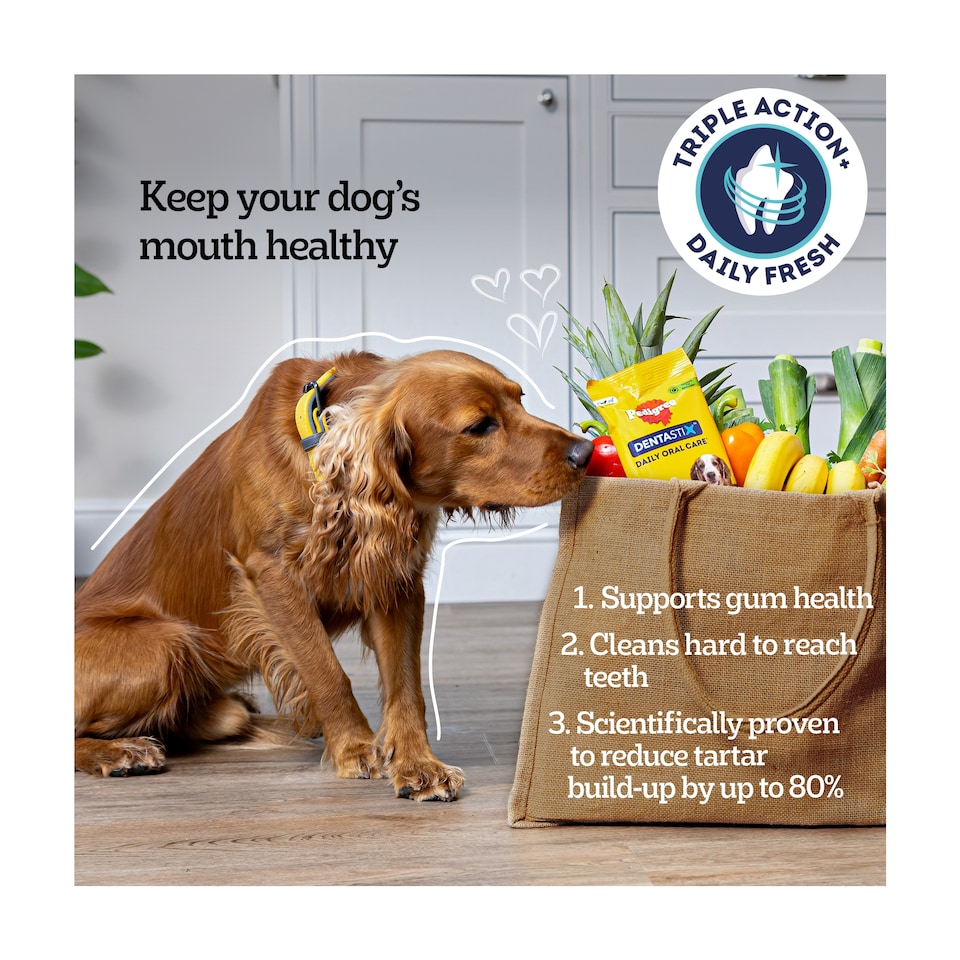 image 1 of Pedigree Dentastix Fresh Large Dog Treats 4 Dental Sticks
