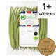 image 1 of Tesco Organic Green Beans 225G