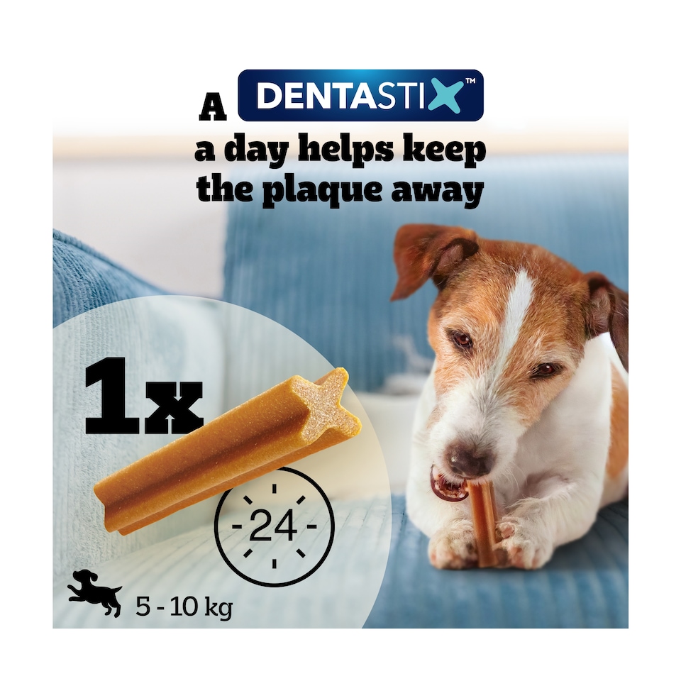 image 1 of Pedigree Dentastix Daily Small Dog Treats 35 Dental Sticks