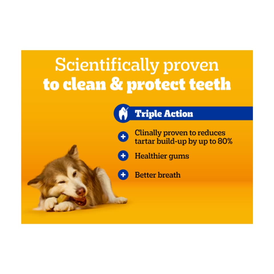 image 1 of Pedigree Dentastix Daily Large Dog Treats 42 Dental Sticks