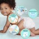 Obrázek 3 pro produkt Pampers Premium Care Velikost 4, 52 Dětské Plenky, 9kg-14kg