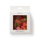 image 1 of Paperchase Rainbow Tissue Paper Confetti