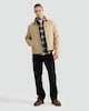 image 2 of F&F Pure Cotton Corduroy Collar Zip Front Jacket in Stone