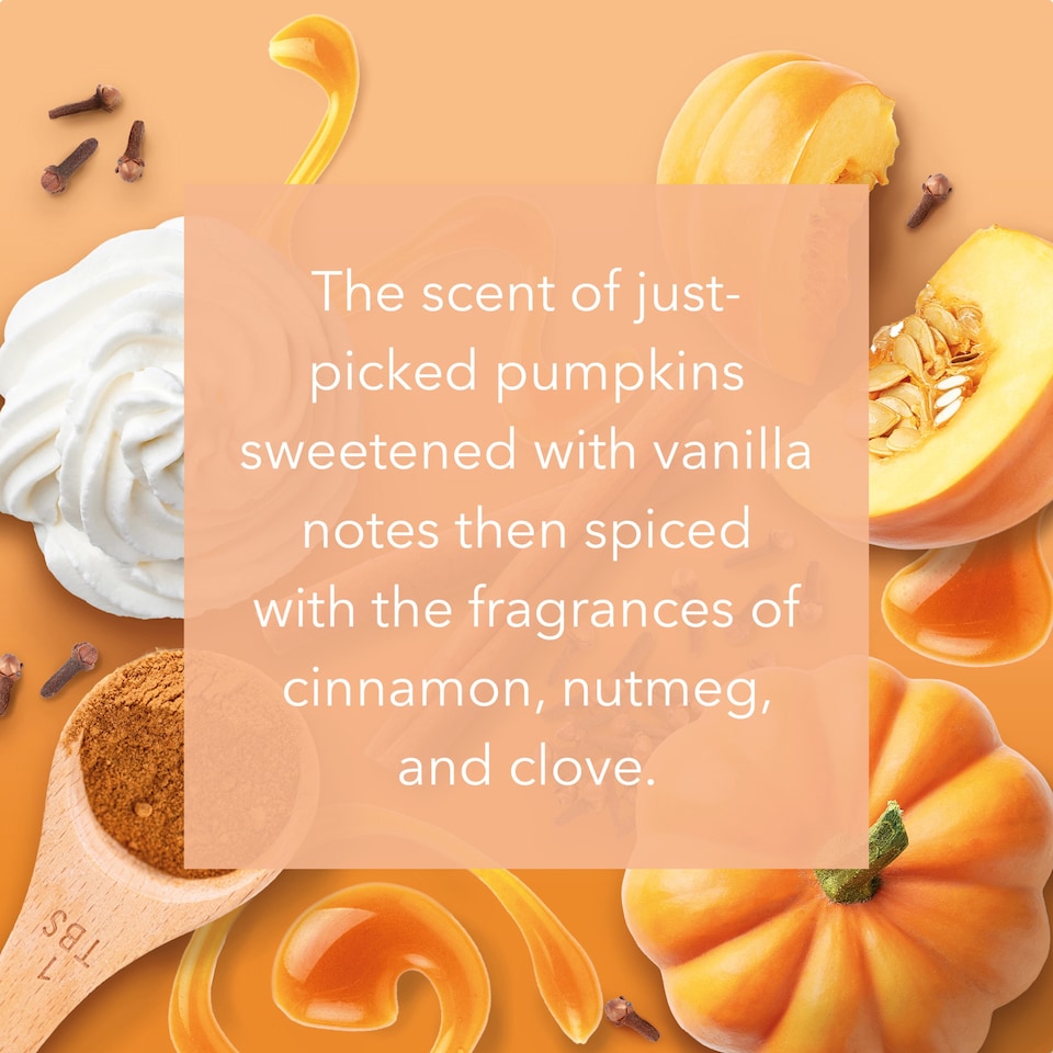 image 1 of Yankee Candle Large Jar Pumpkin Harvest 538G