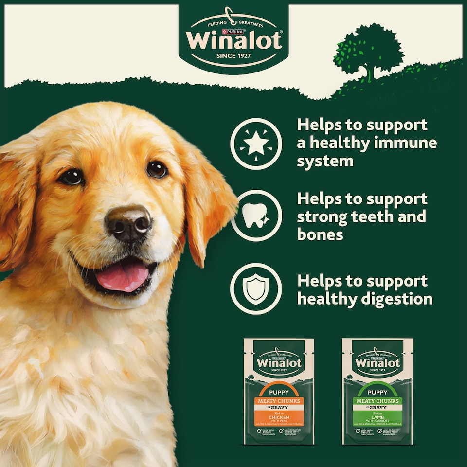 image 1 of WINALOT Meaty Chunks Puppy Mixed in Gravy Wet Dog Food 12x100g