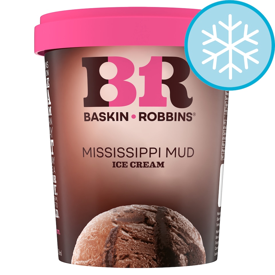 Baskin Robbins Mississippi Mud Ice Cream 500ml