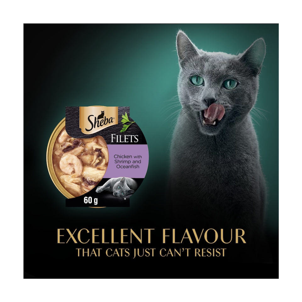 image 1 of Sheba Fillets Wet Cat Food Tray with Chicken & Fish in Gravy 60g