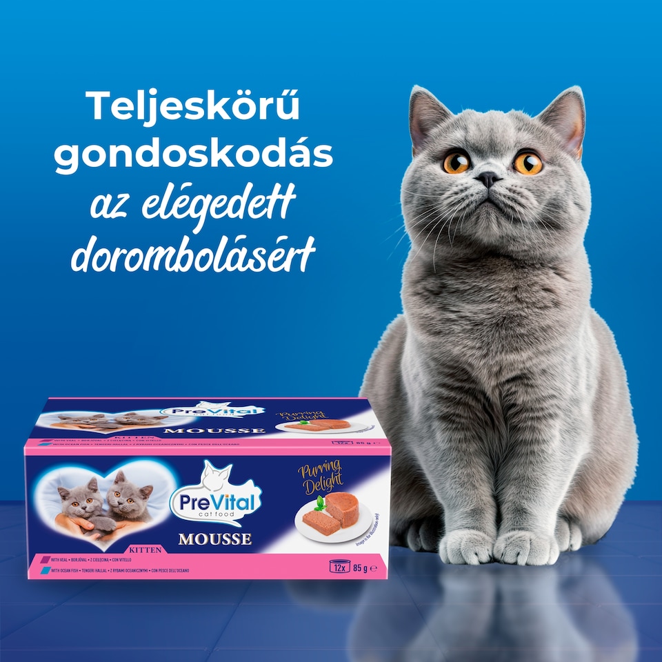 PreVital Mousse nedves macskaeledel, macskatáp kölyökmacskáknak pástétom konzerv 12 x 85 g  1. kép