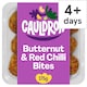image 1 of Cauldron Nice & Spicy Butternut Squash Bites 175g