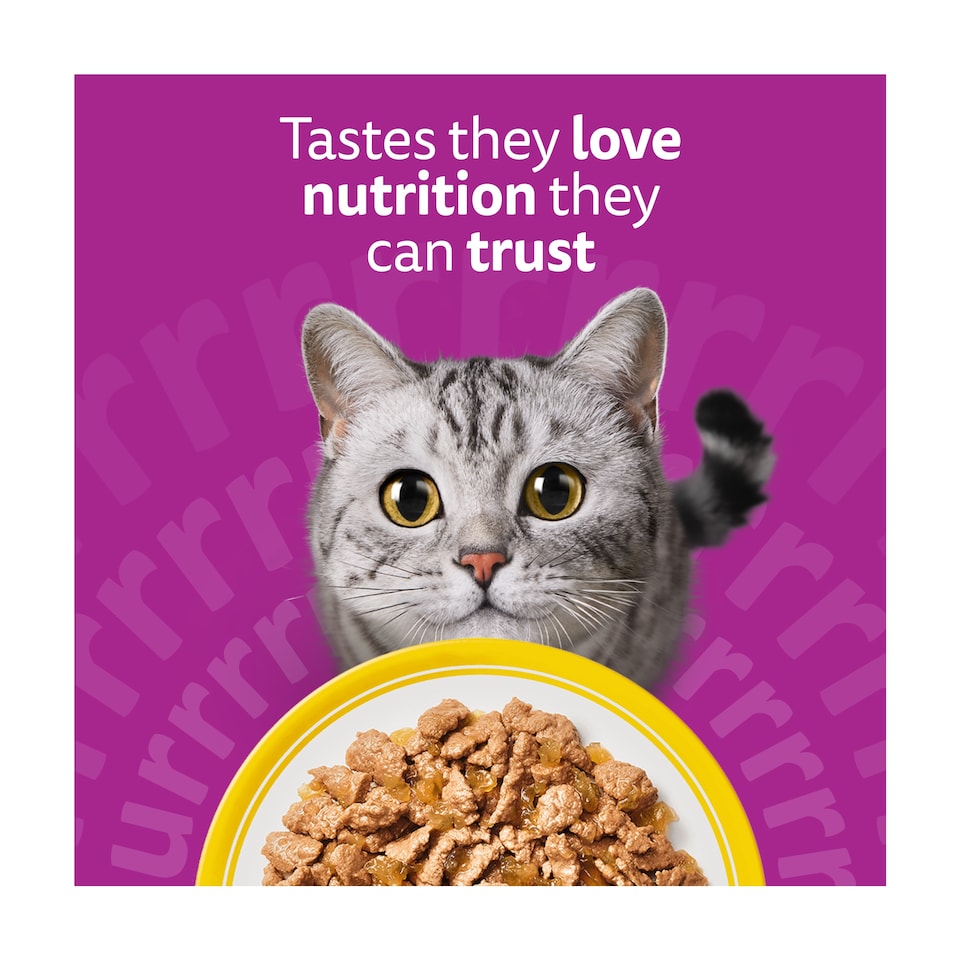 image 1 of WHISKAS 1+ Wet Cat Food Pouches Variety pack in Gravy and Jelly 12 x 85g