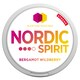image 1 of Nordic Spirit Strong Bergomot Wildberry 20X9mg