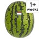 image 1 of Tesco Giant Watermelon