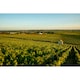 image 4 of Louis Jadot Pouilly Fuisse 75Cl