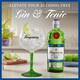 image 3 of Tanqueray Alcohol Free 0% Spirit 70Cl