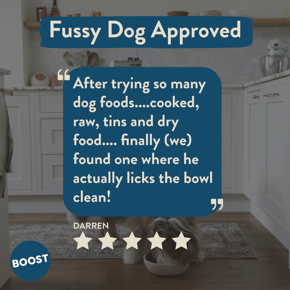 image 1 of BOOST Gently Cooked Lamb & Superfoods Meals for Dogs 400g
