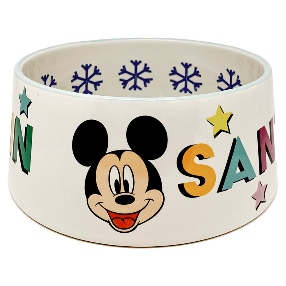 Tesco Disney Dog Bowl