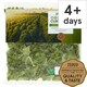 image 1 of Tesco Organic Curly Kale 200G