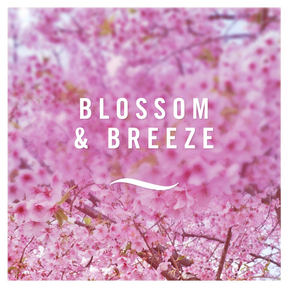 image 1 of Febreze Air Freshener Aerosol Blossom & Breeze 300ml
