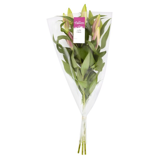 Lily 3 Stem White Tesco Groceries