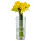 image 1 of Daffodils