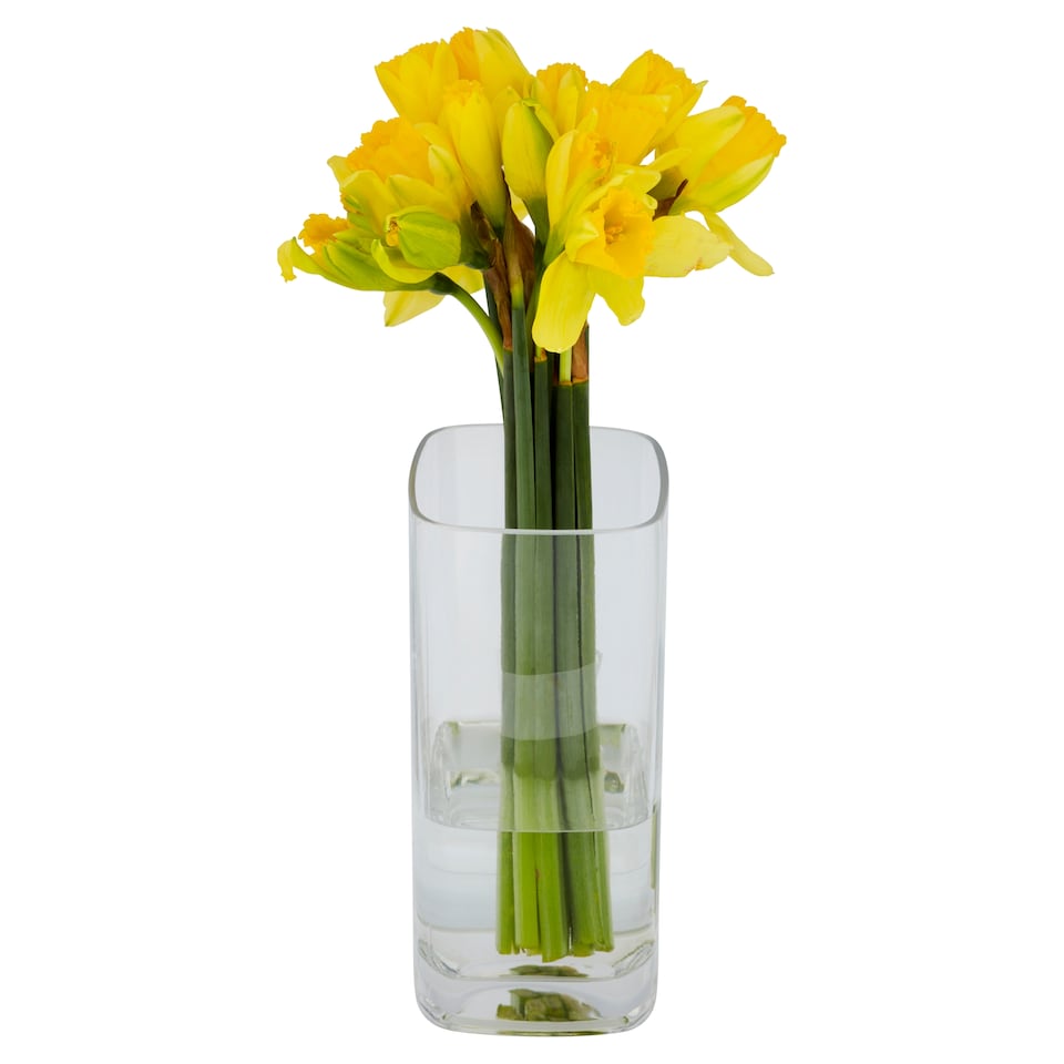 image 1 of Daffodils