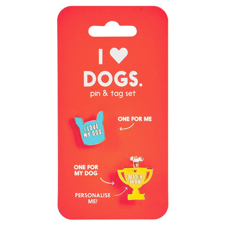 Dog Pin And Collar Charm