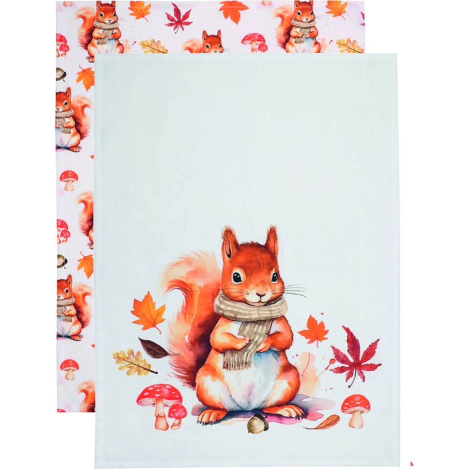 image 1 of F&F Home Squirrel Tea Towel 50 x 70 cm 2 pcs