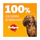image 4 of Pedigree Senior Dog Food Pouches Mixed in Jelly 12x100g