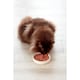 image 5 of Freshpet Grilled Turkey Recipe Cat Food 400g
