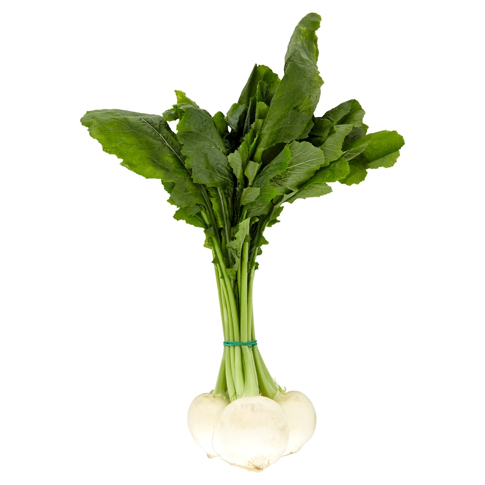 Ředkev bílá kulatá svazek