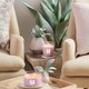 image 2 of Natures Wick 284G Candle- Woodland Rose