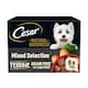 image 1 of Cesar Natural Goodness Grain Free Adult Wet Dog Food Mix Terrine 8x100g Tray