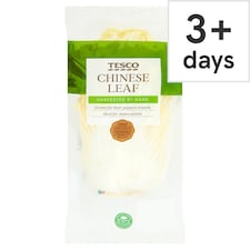 Tesco Chinese Leaf Each