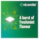 image 4 of Nicorette Stop Smoking Aid 2mg Nicotine Gum - Freshmint 105s
