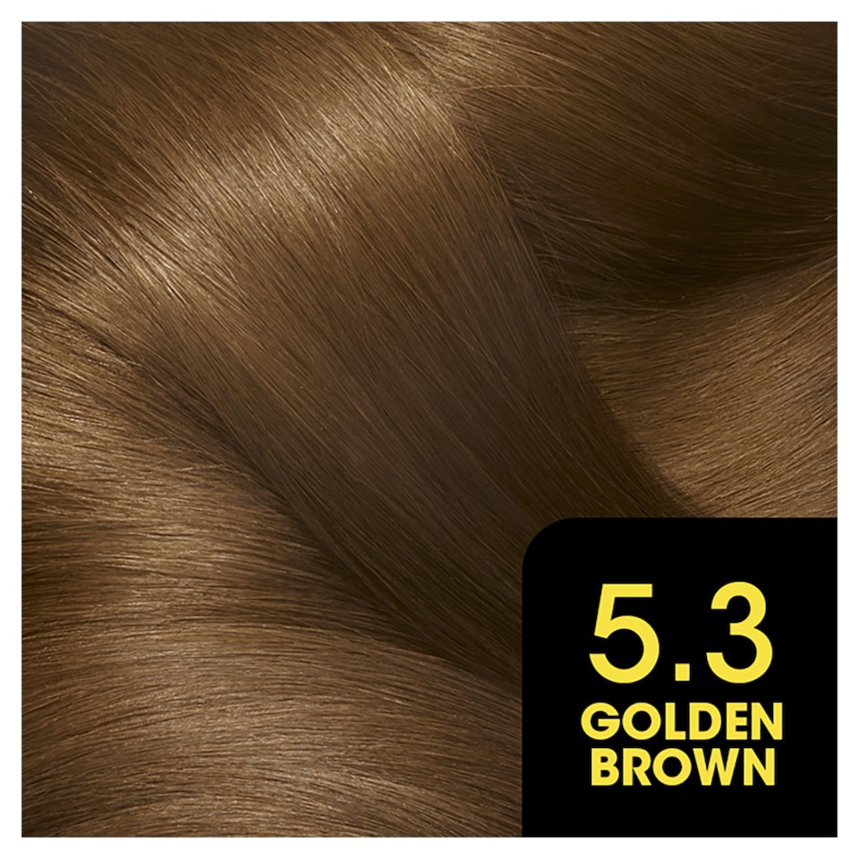 image 1 of Garnier Olia Permanent Hair Colour - Golden Brown 5.3