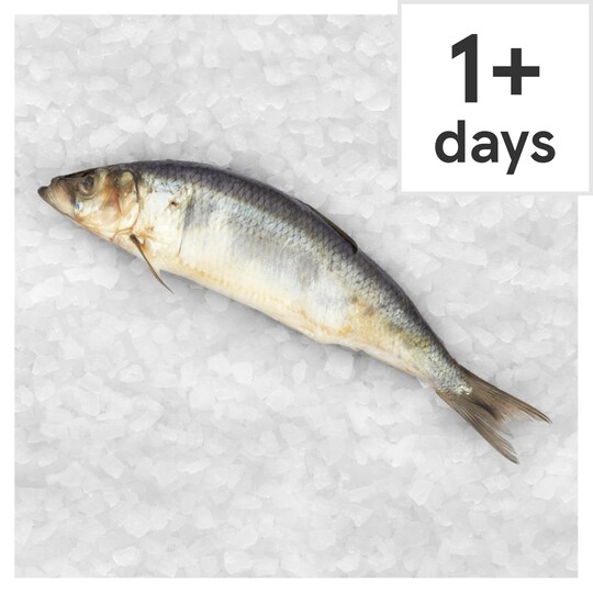Counter Whole Msc Herring Tesco Groceries