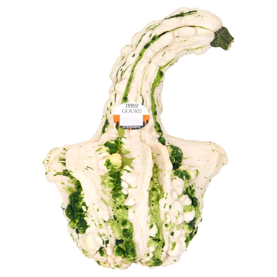 Tesco Gourd
