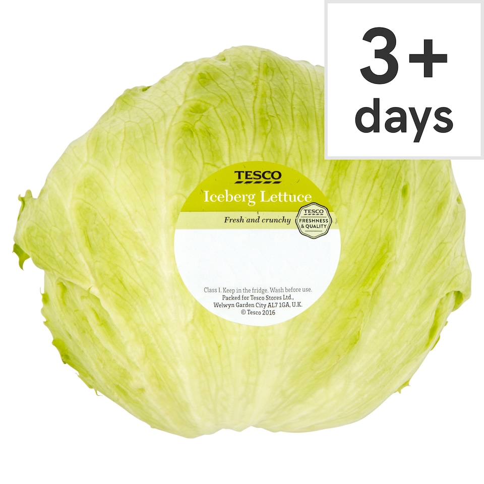 Tesco Iceberg Lettuce Each (C)