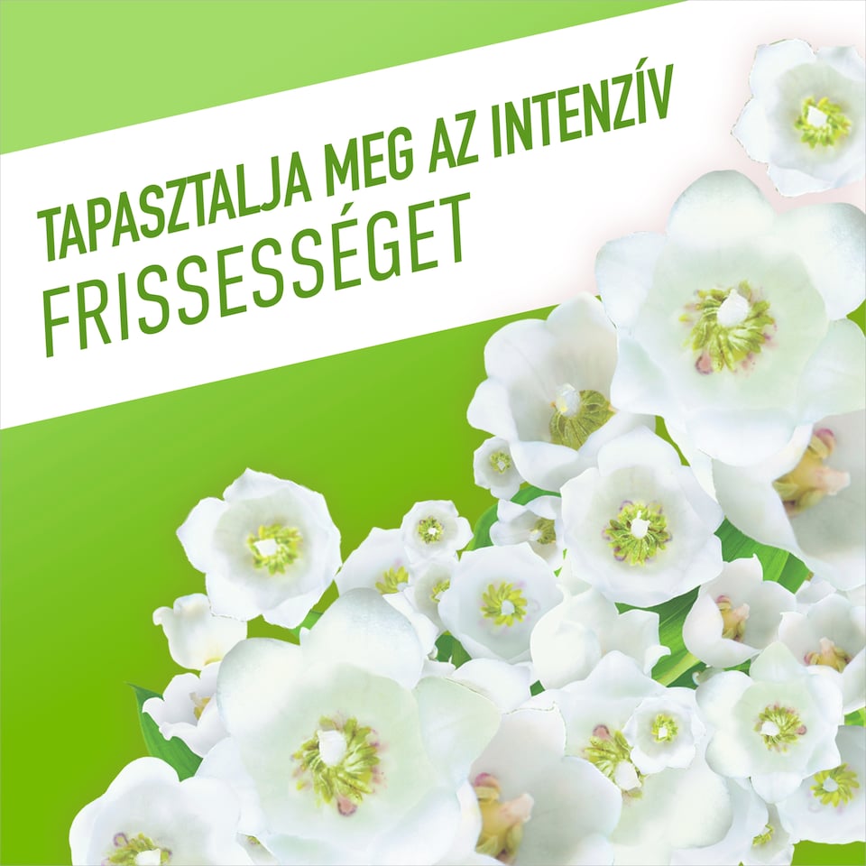 Ajax Flower Fiesta Tavaszi virágok Zöld általános tisztítószer 1000 ml  1. kép
