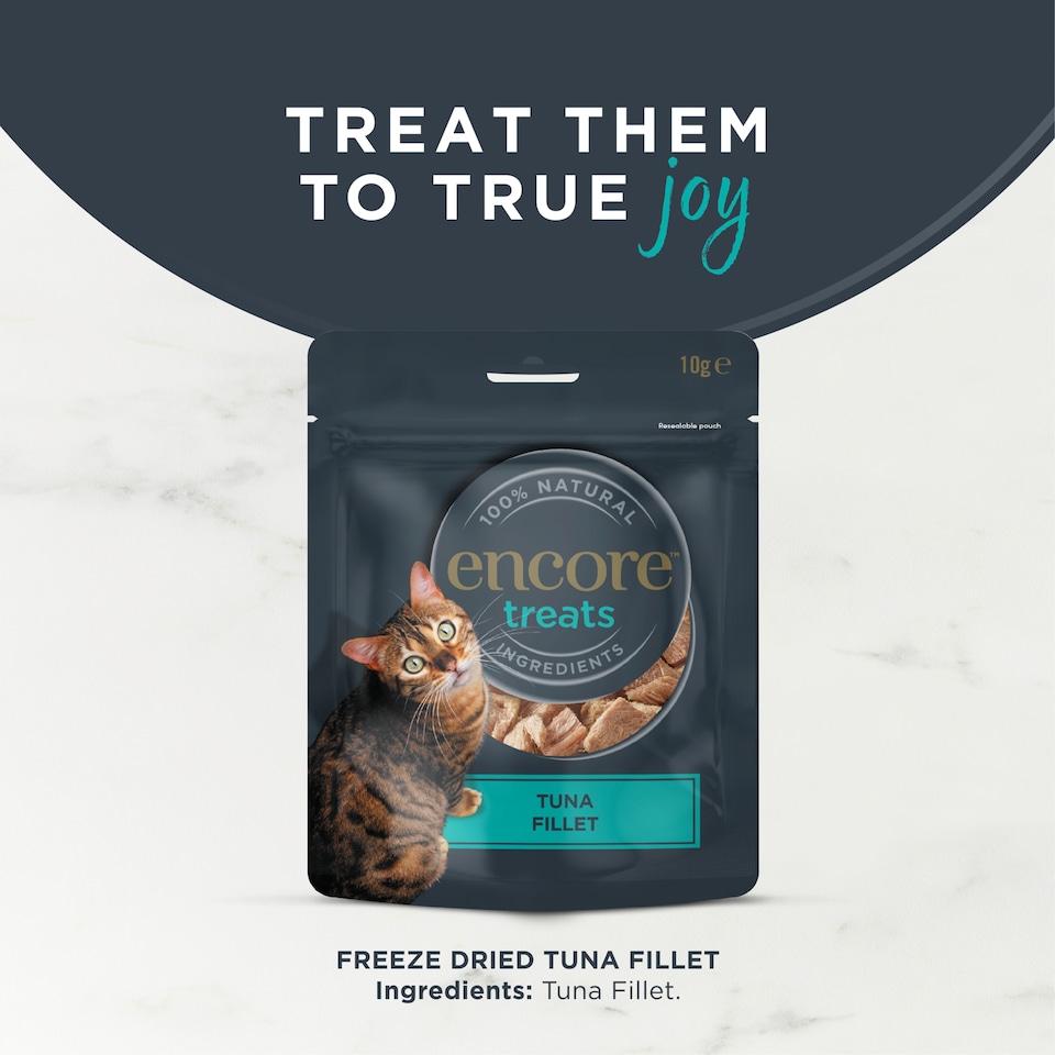 image 1 of Encore Tuna Fillet Freeze Dried Cat Treats 10g