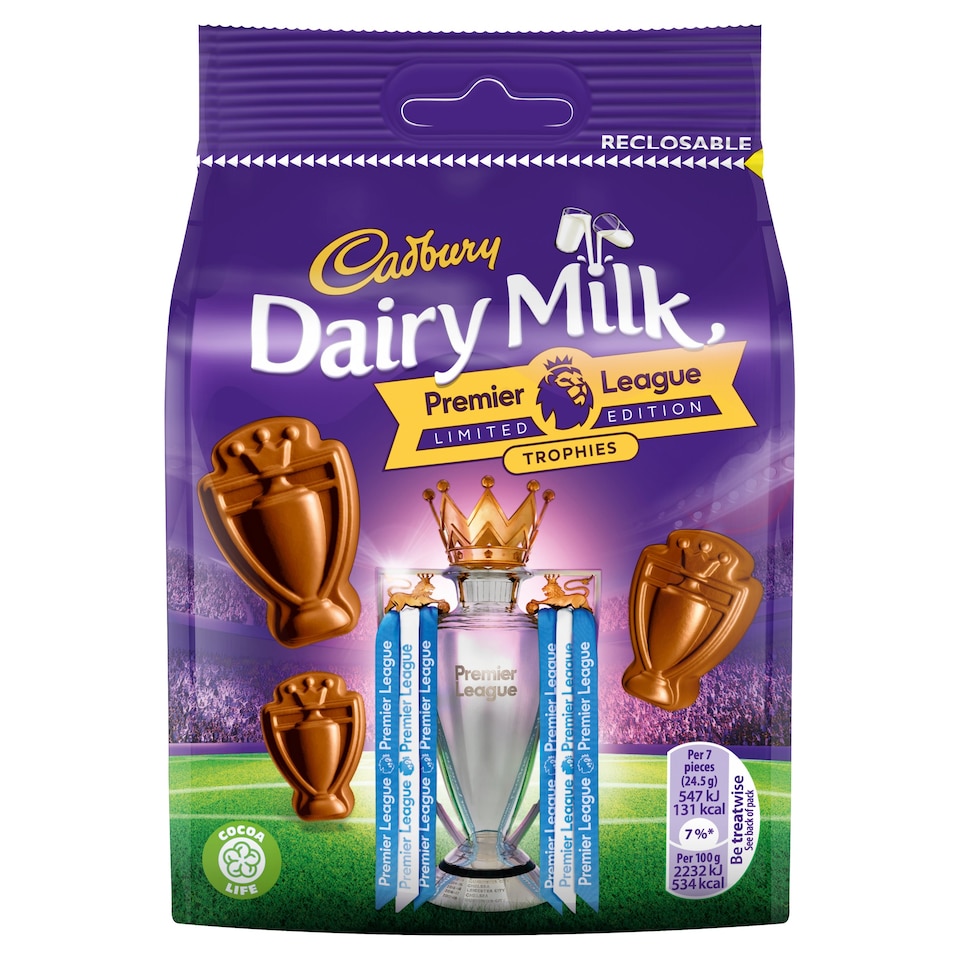 Cadbury Dairy Milk Trophy Bag 105G